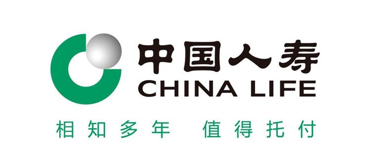 中国人寿财险